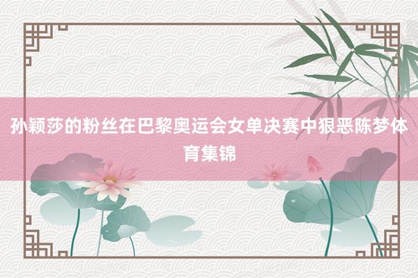 孙颖莎的粉丝在巴黎奥运会女单决赛中狠恶陈梦体育集锦