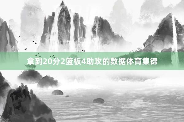 拿到20分2篮板4助攻的数据体育集锦