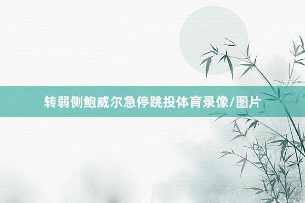 转弱侧鲍威尔急停跳投体育录像/图片
