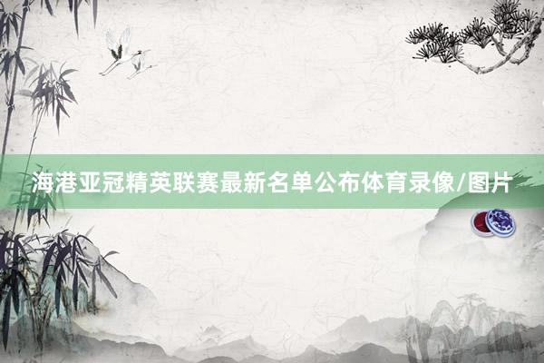 海港亚冠精英联赛最新名单公布体育录像/图片