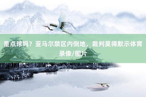 是点球吗？亚马尔禁区内倒地，裁判莫得默示体育录像/图片