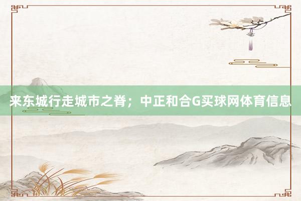 来东城行走城市之脊;中正和合G买球网体育信息