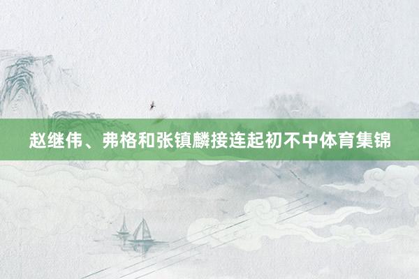 赵继伟、弗格和张镇麟接连起初不中体育集锦