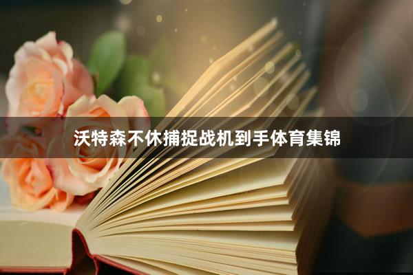 沃特森不休捕捉战机到手体育集锦