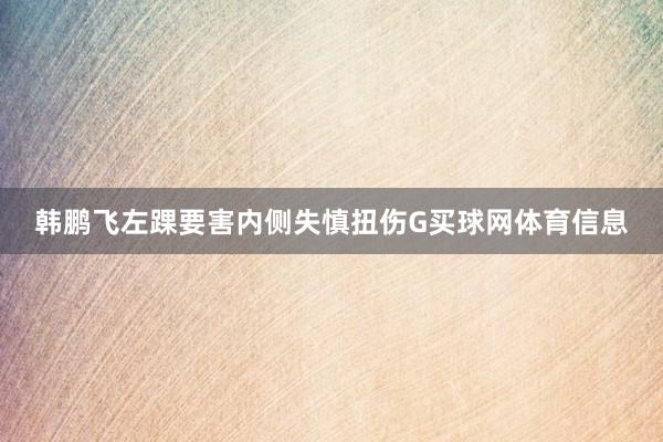韩鹏飞左踝要害内侧失慎扭伤G买球网体育信息
