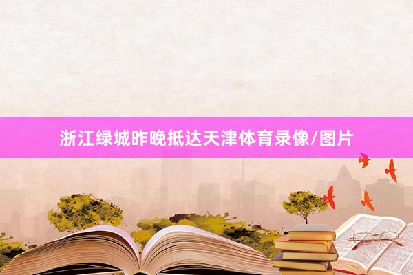浙江绿城昨晚抵达天津体育录像/图片