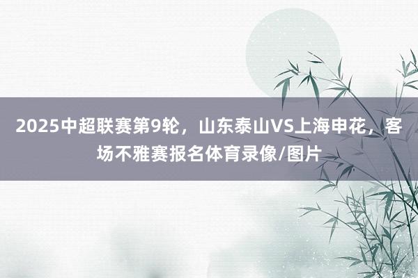 2025中超联赛第9轮，山东泰山VS上海申花，客场不雅赛报名体育录像/图片