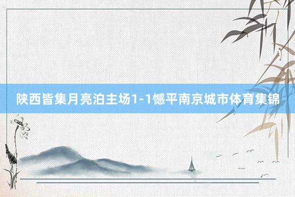 陕西皆集月亮泊主场1-1憾平南京城市体育集锦