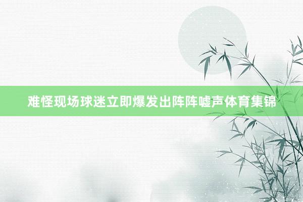难怪现场球迷立即爆发出阵阵嘘声体育集锦