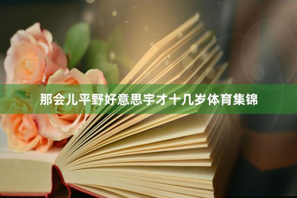 那会儿平野好意思宇才十几岁体育集锦