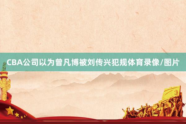 CBA公司以为曾凡博被刘传兴犯规体育录像/图片