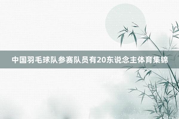 中国羽毛球队参赛队员有20东说念主体育集锦