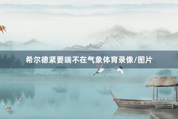 希尔德紧要端不在气象体育录像/图片