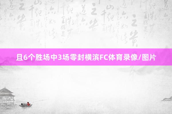 且6个胜场中3场零封横滨FC体育录像/图片
