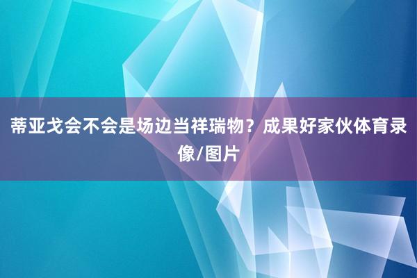 蒂亚戈会不会是场边当祥瑞物？成果好家伙体育录像/图片