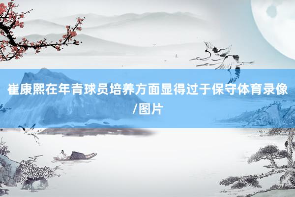 崔康熙在年青球员培养方面显得过于保守体育录像/图片