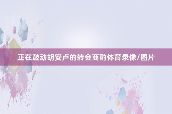正在鼓动胡安卢的转会商酌体育录像/图片
