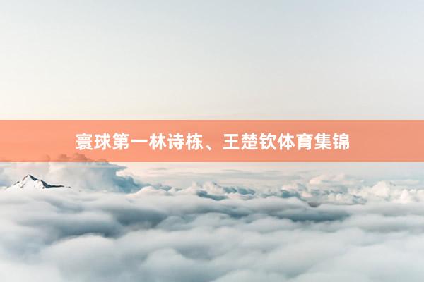 寰球第一林诗栋、王楚钦体育集锦