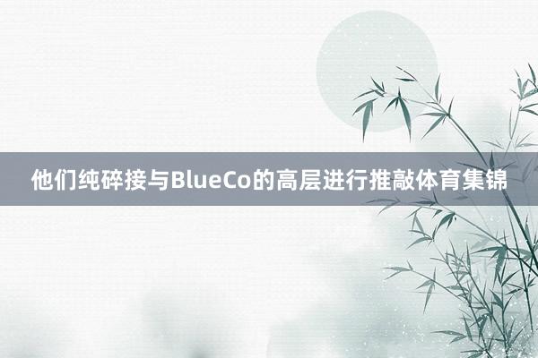 他们纯碎接与BlueCo的高层进行推敲体育集锦