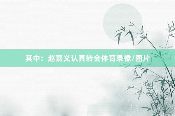 其中：赵嘉义认真转会体育录像/图片