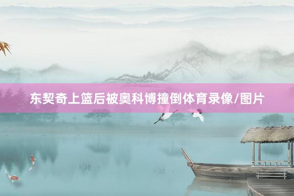 东契奇上篮后被奥科博撞倒体育录像/图片