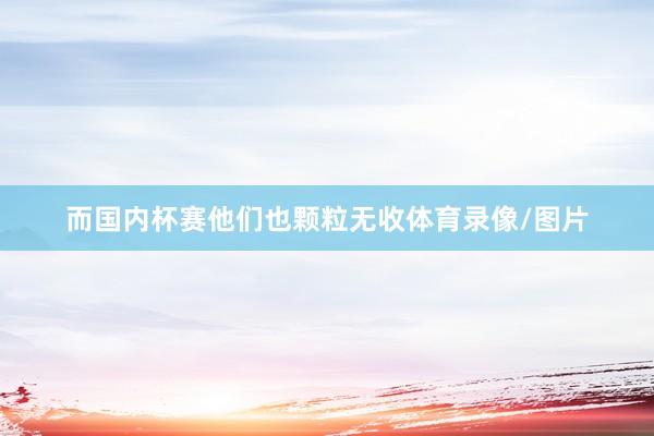 而国内杯赛他们也颗粒无收体育录像/图片