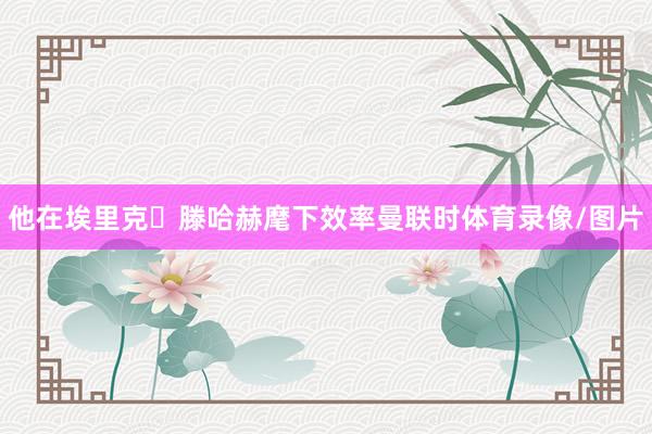 他在埃里克・滕哈赫麾下效率曼联时体育录像/图片