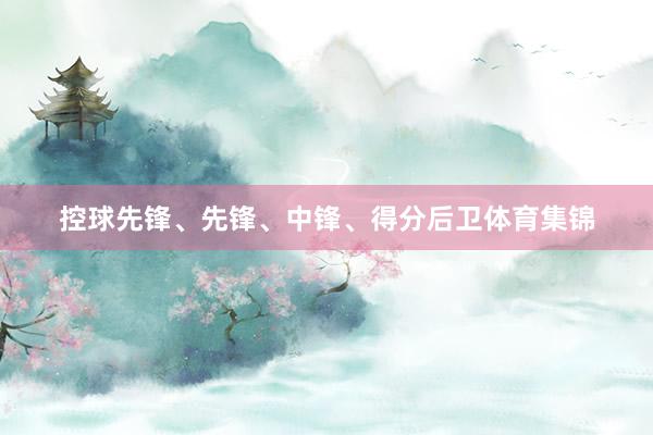 控球先锋、先锋、中锋、得分后卫体育集锦