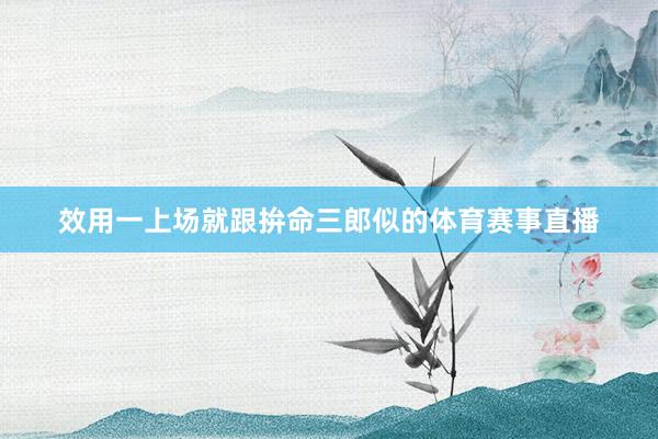 效用一上场就跟拚命三郎似的体育赛事直播