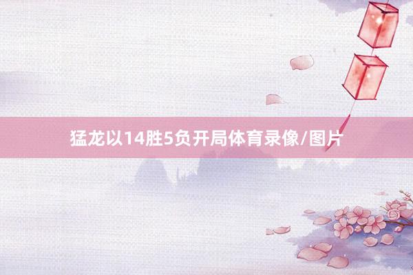 猛龙以14胜5负开局体育录像/图片