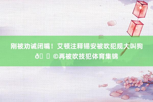 刚被劝诫闭嘴！艾顿注释锡安被吹犯规大叫狗💩再被吹技犯体育集锦