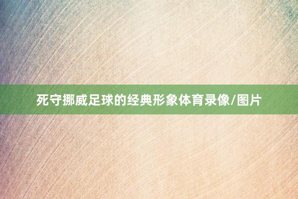 死守挪威足球的经典形象体育录像/图片