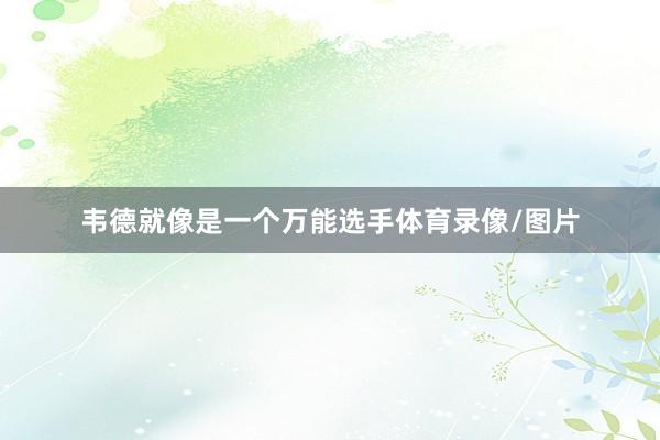 韦德就像是一个万能选手体育录像/图片