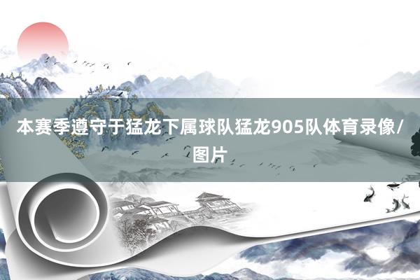 本赛季遵守于猛龙下属球队猛龙905队体育录像/图片