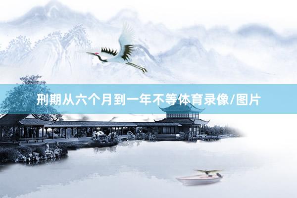 刑期从六个月到一年不等体育录像/图片