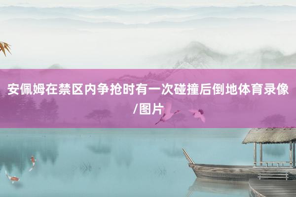 安佩姆在禁区内争抢时有一次碰撞后倒地体育录像/图片