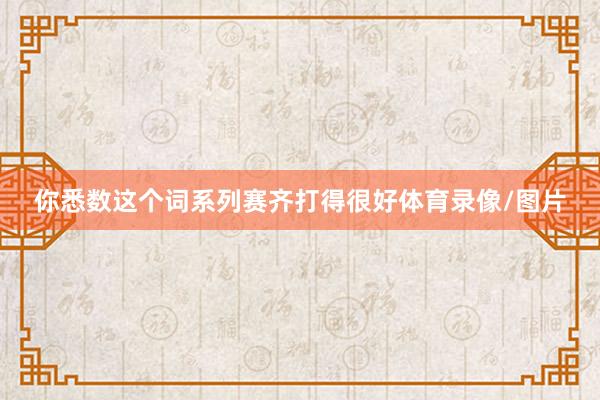 你悉数这个词系列赛齐打得很好体育录像/图片