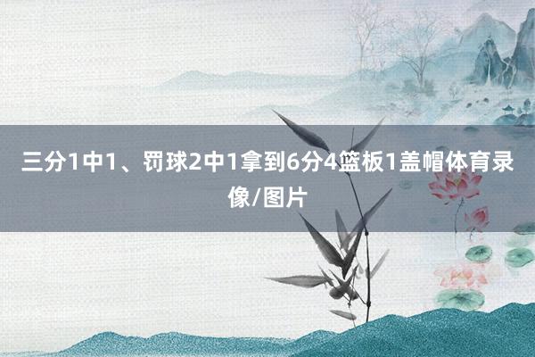 三分1中1、罚球2中1拿到6分4篮板1盖帽体育录像/图片