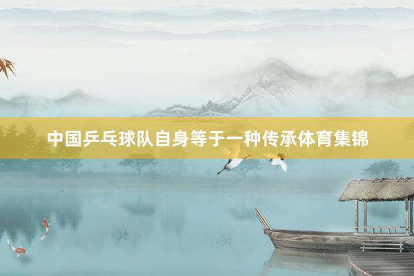 中国乒乓球队自身等于一种传承体育集锦
