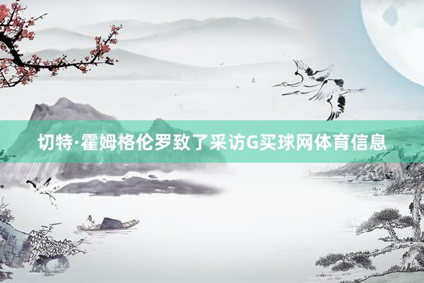 切特·霍姆格伦罗致了采访G买球网体育信息
