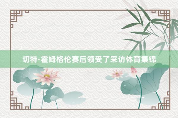 切特·霍姆格伦赛后领受了采访体育集锦
