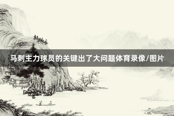 马刺主力球员的关键出了大问题体育录像/图片