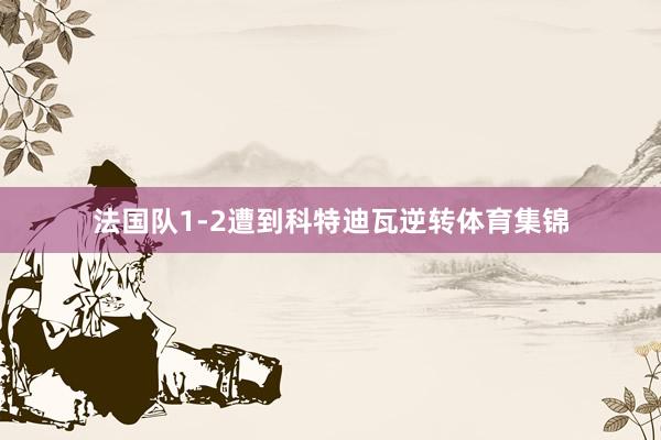 法国队1-2遭到科特迪瓦逆转体育集锦