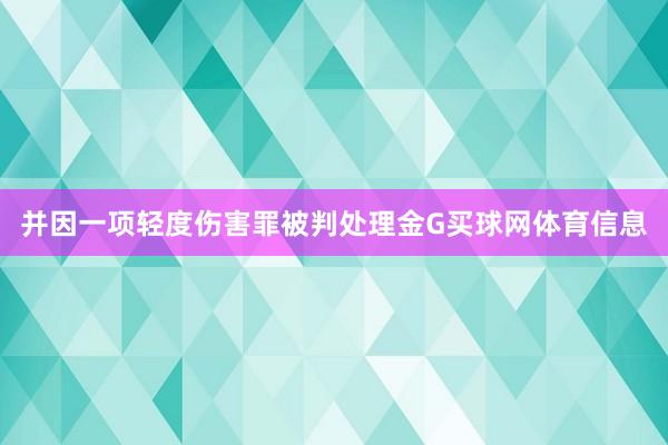 并因一项轻度伤害罪被判处理金G买球网体育信息