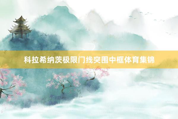 科拉希纳茨极限门线突围中框体育集锦