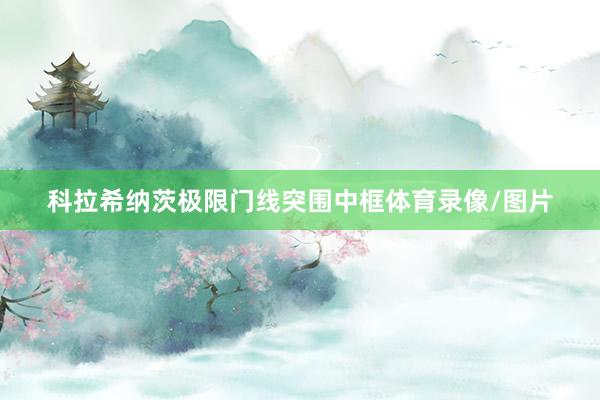 科拉希纳茨极限门线突围中框体育录像/图片